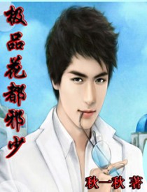 极品花纹黄花梨柜子